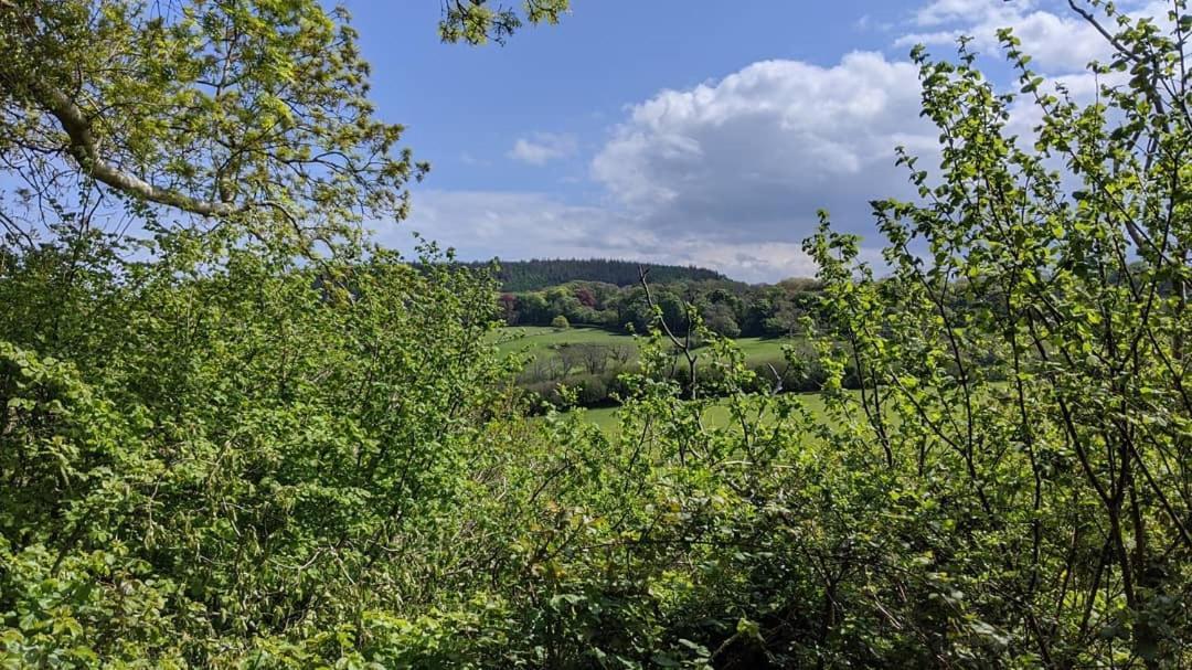 No7 Glan Nodwydd Villa Pentraeth Luaran gambar