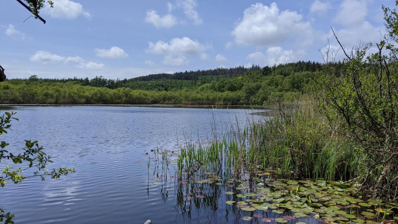 No7 Glan Nodwydd Villa Pentraeth Luaran gambar